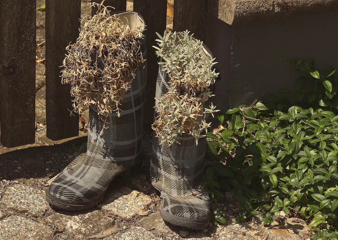 5 Easy DIY Planters to Brighten Up Your Home